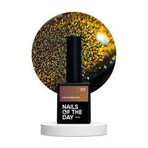 NAILSOFTHEDAY Cat eye Reflective 03