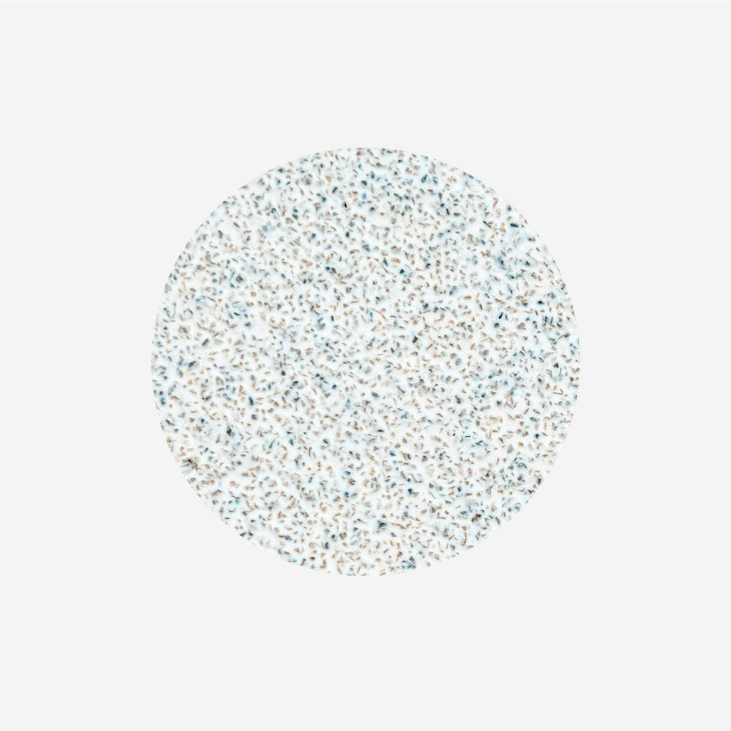 STALEKS Disposable white files  PODODISC L 50 pcs (PDF-80,100,180,240,320) - All Pro Beauty