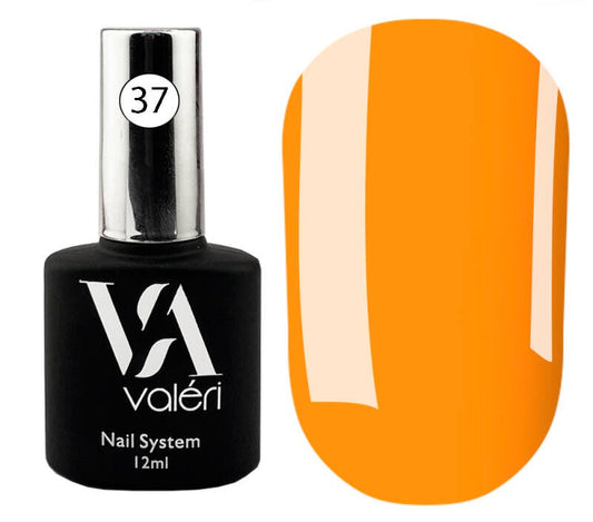 French Base Valeri №37, 12ml